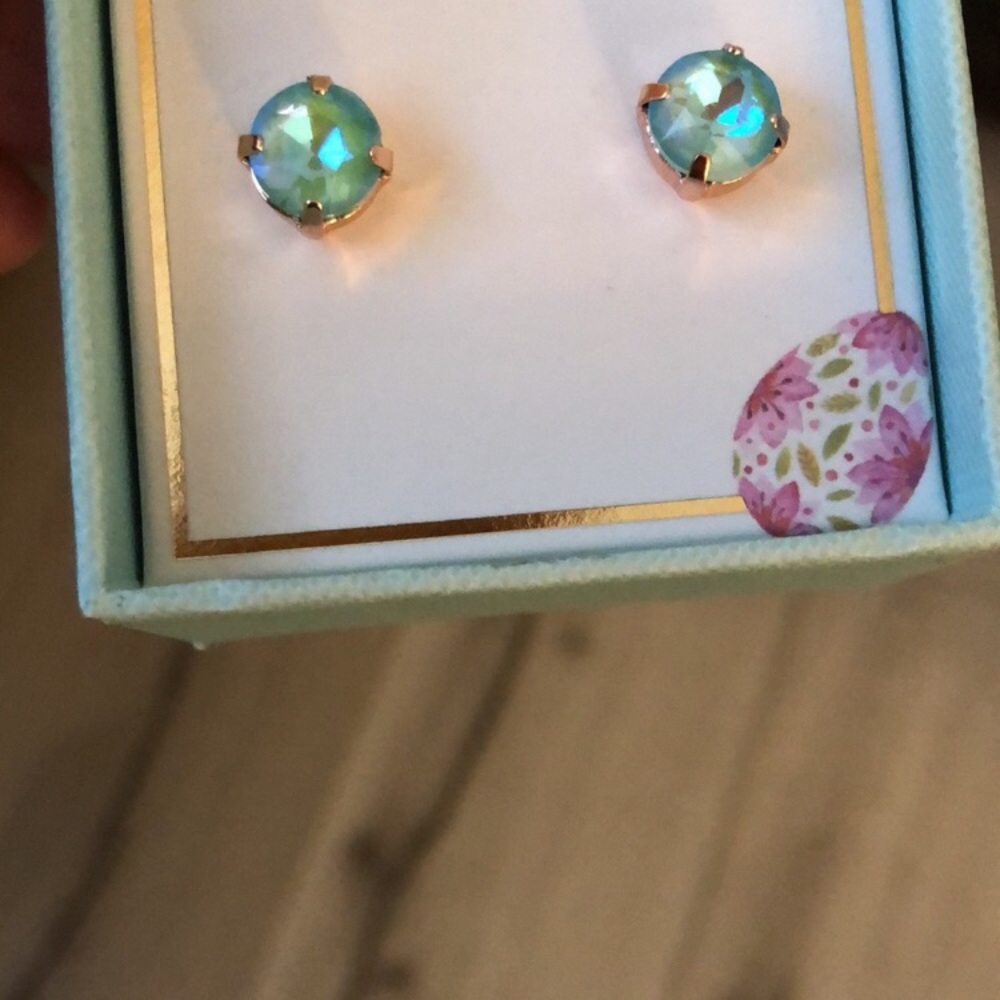 Gorgeous Aquamarine AB Crystal Earrings - Picture 5 of 9